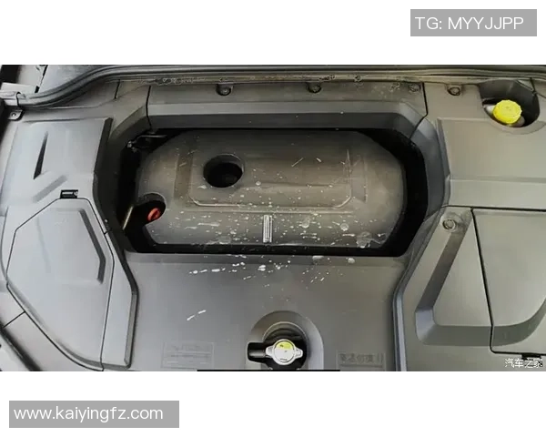 专业解读：JDG的整体压制打法_1