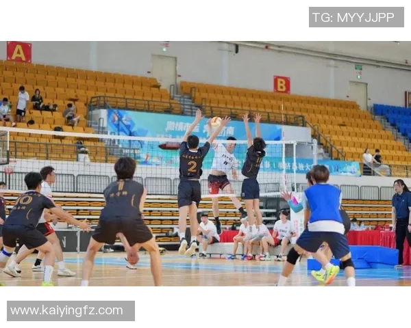 2026排球配合排行榜:杭州排球队位居第9名 2026排球配合排行榜:杭州排球队位居第9名